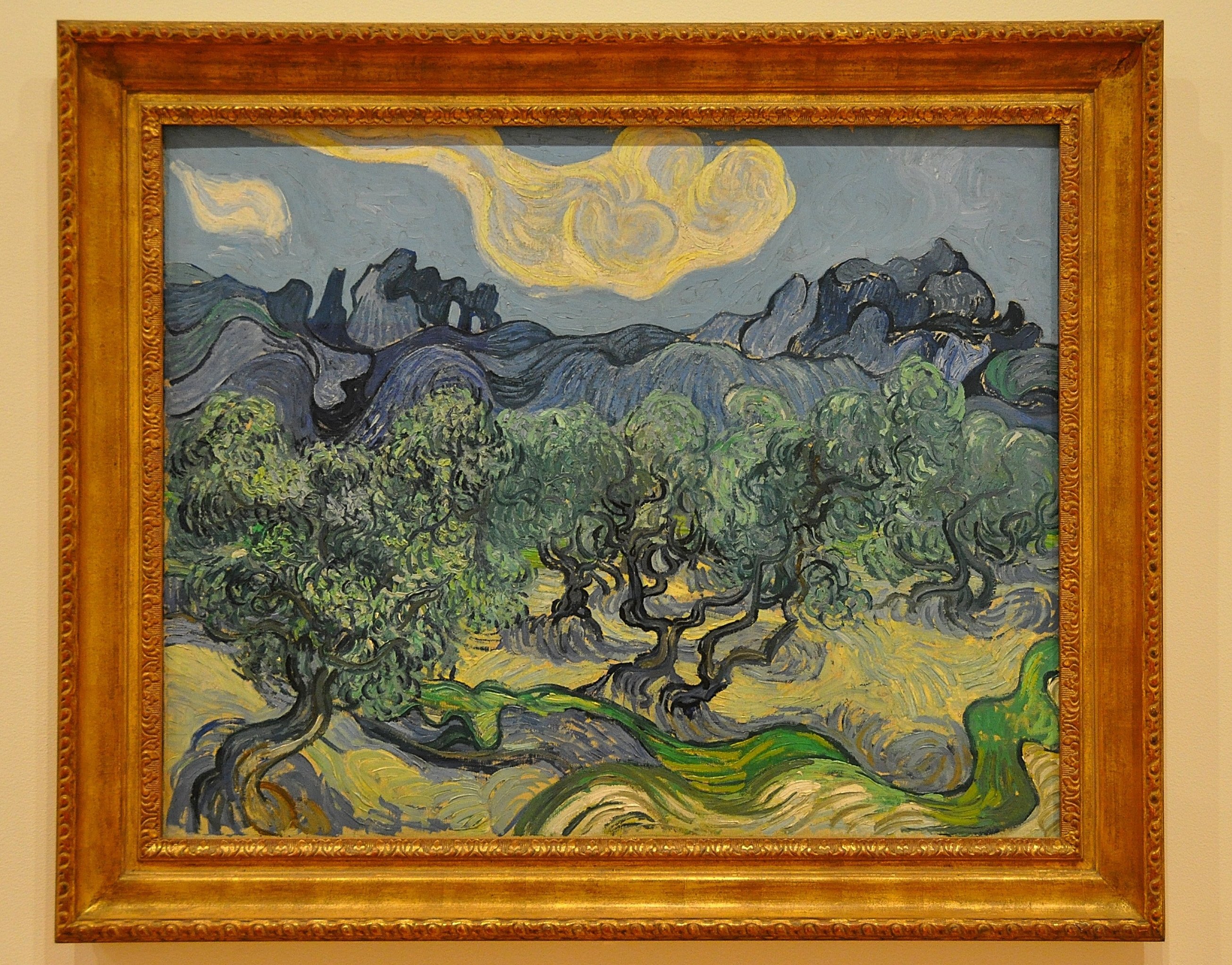 van gogh from moma