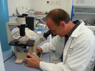 Scientist looking down a microscope.