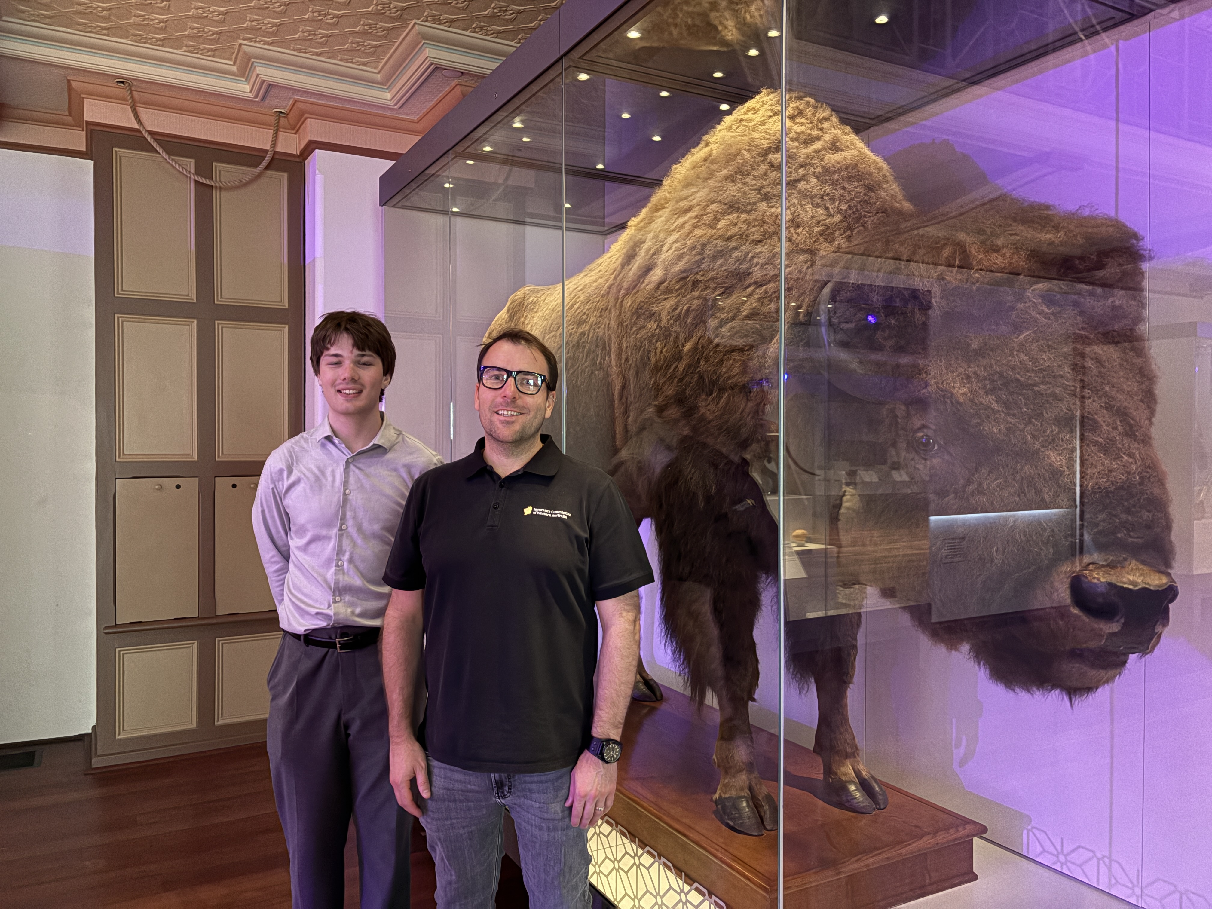 bison 2026