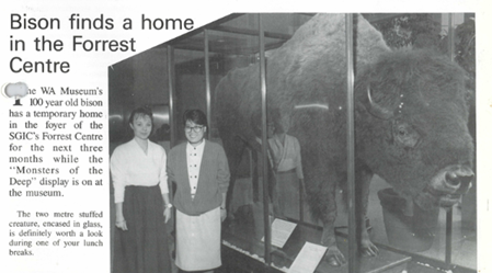 bison 1991